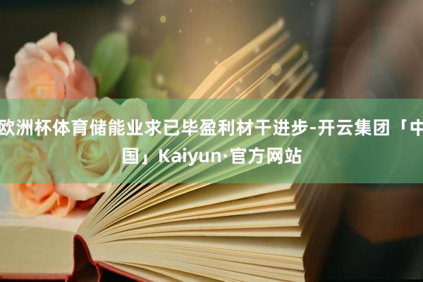 欧洲杯体育储能业求已毕盈利材干进步-开云集团「中国」Kaiyun·官方网站