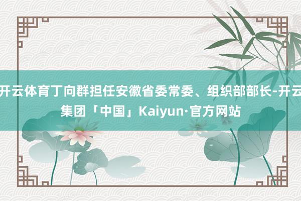 开云体育丁向群担任安徽省委常委、组织部部长-开云集团「中国」Kaiyun·官方网站