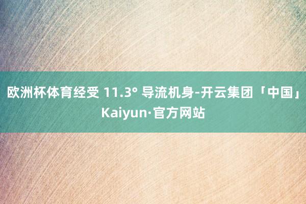 欧洲杯体育经受 11.3° 导流机身-开云集团「中国」Kaiyun·官方网站