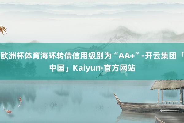 欧洲杯体育海环转债信用级别为“AA+”-开云集团「中国」Kaiyun·官方网站