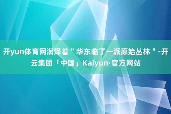 开yun体育网润泽着＂华东临了一派原始丛林＂-开云集团「中国」Kaiyun·官方网站