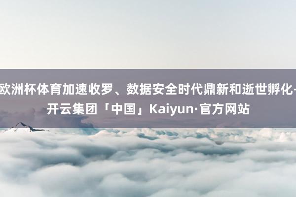 欧洲杯体育加速收罗、数据安全时代鼎新和逝世孵化-开云集团「中国」Kaiyun·官方网站