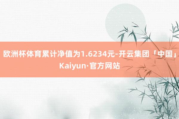 欧洲杯体育累计净值为1.6234元-开云集团「中国」Kaiyun·官方网站